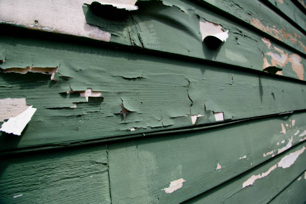 Best Stucco Siding  in Houma, LA
