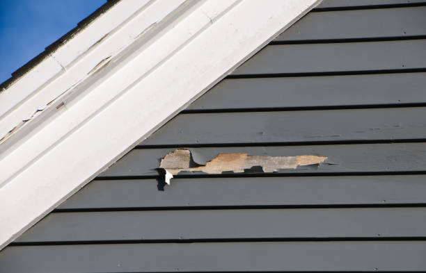 Best Wood Siding Installation  in Houma, LA