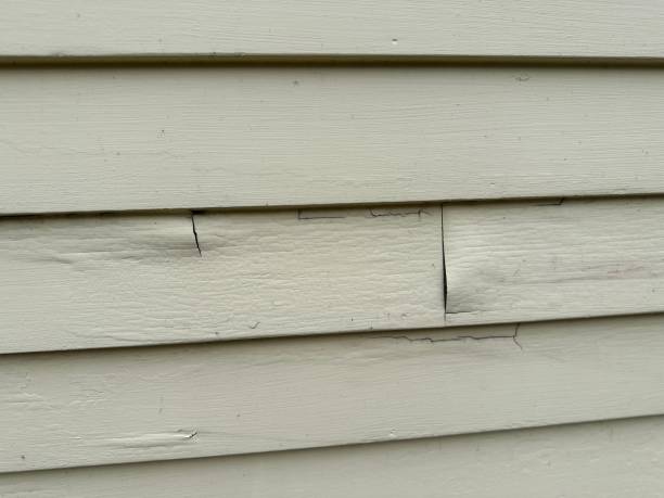 Affordable siding repair and maintenance services in Houma, LA